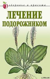 Лечение подорожником