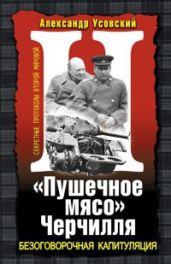 «Пушечное мясо» Черчилля
