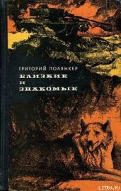 Городской сумасшедший