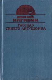 Постоянный подписчик
