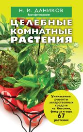 Целебные комнатные растения