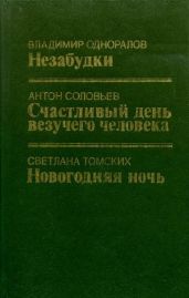 Новогодняя ночь