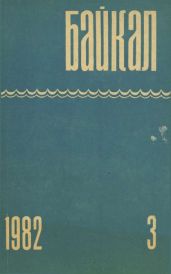 «Черный Ворон»