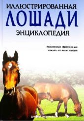 Лошади