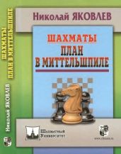 Шахматы. План в миттельшпиле