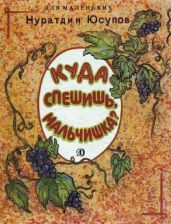 Куда спешишь, мальчишка?