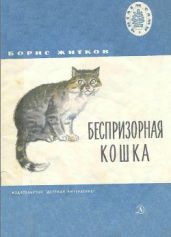 Беспризорная кошка (худ. Н. Афанасьева)