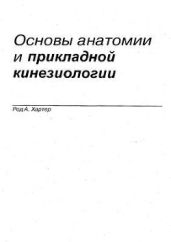 Основы анатомии и прикладной кинезиологии