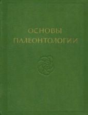 Простейшие