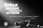 Божьи коровки возвращаются на землю