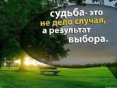 Притча о выборе