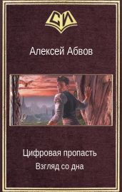 Цифровая пропасть. Взгляд со дна