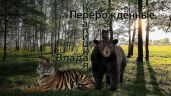 Перерождённые