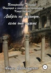 Император Галерий: нацлидер и ставленник тетрарха. Книга вторая. Лавры не жухнут, если они чужие