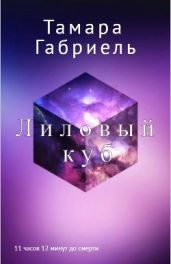 Лиловый куб. 11 часов 12 минут до смерти
