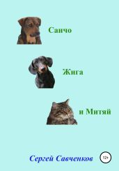 Санчо, Жига и Митяй