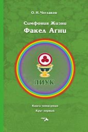 Симфония жизни. Факел Агни. Книга четвертая. Круг первый