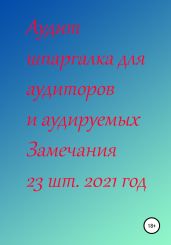 Аудит шпаргалка для аудиторов и аудируемых. Замечания 23 шт. за 2021 год