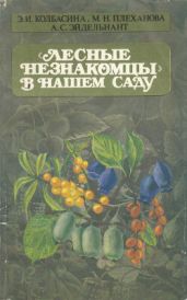 Лесные незнакомцы в нашем саду