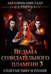 Ведьма созидательного пламени. Книга 3