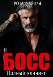 Босс. Полный клининг