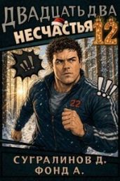 Двадцать два несчастья. Том 12