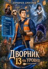 Дворник 13-го уровня. Том 5