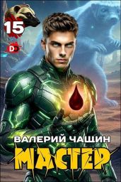 Мастер 15