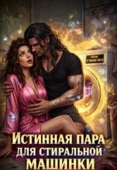 Истинная пара для Стиральной машинки