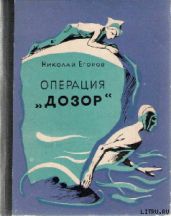Операция «Дозор»