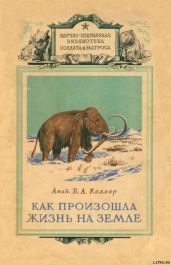 Как произошла жизнь на земле