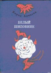 Деревянное царство (с рисунками О. Биантовской)