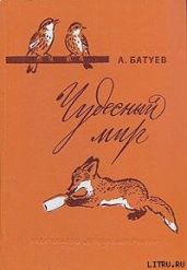 Чудесный мир