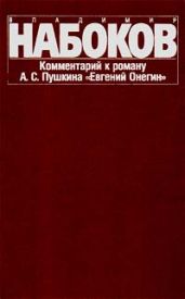 Комментарий к роману Евгений Онегин